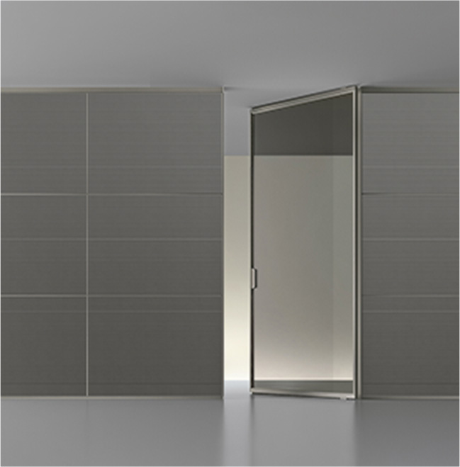 Minimalist Doors